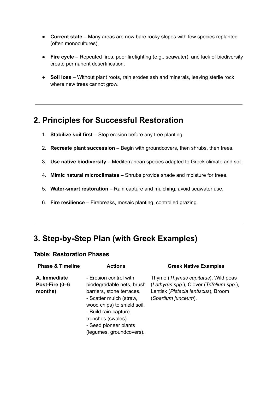 PYRO‑EYE 2500 proposal — page 10
